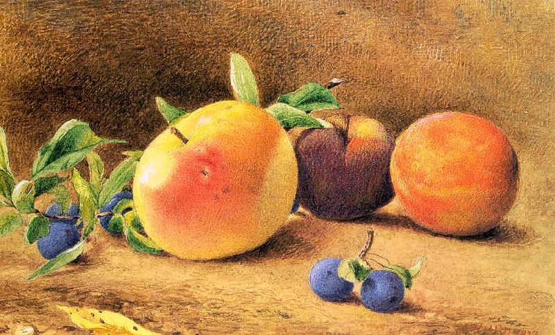 Hill, John William Study of Fruit oil painting picture